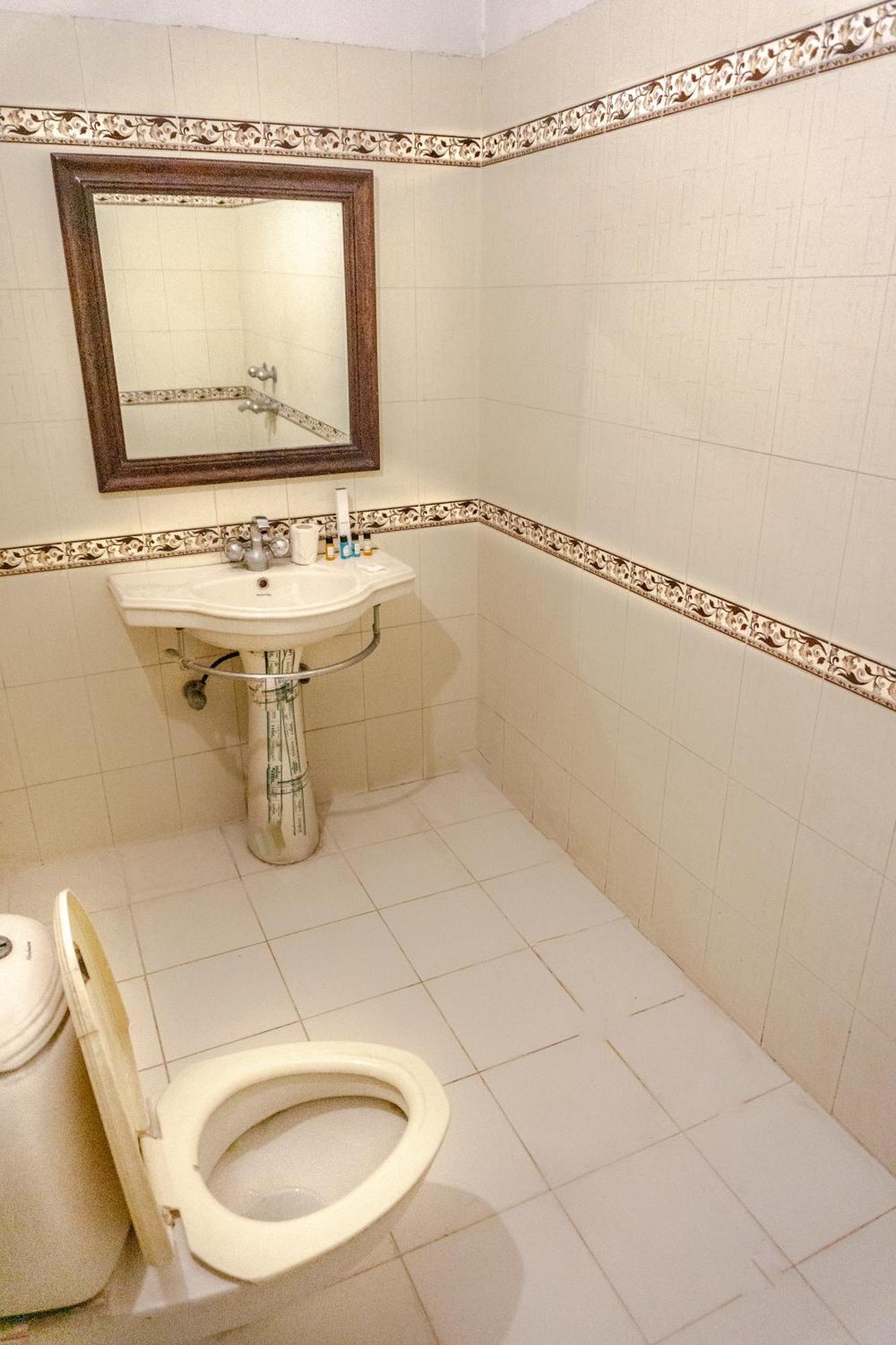 Krishna Palace - A Heritage Hotel 3*