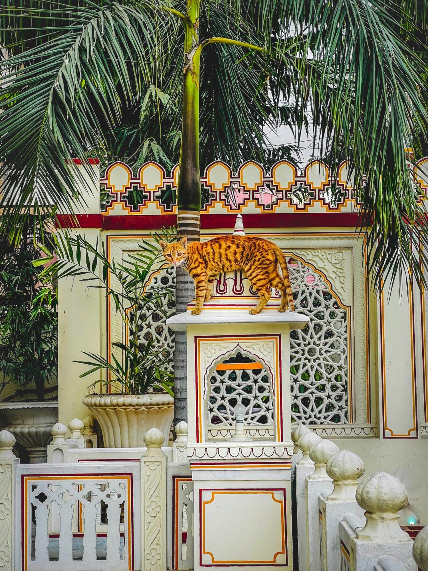 Krishna Palace - A Heritage Hotel Jaipur