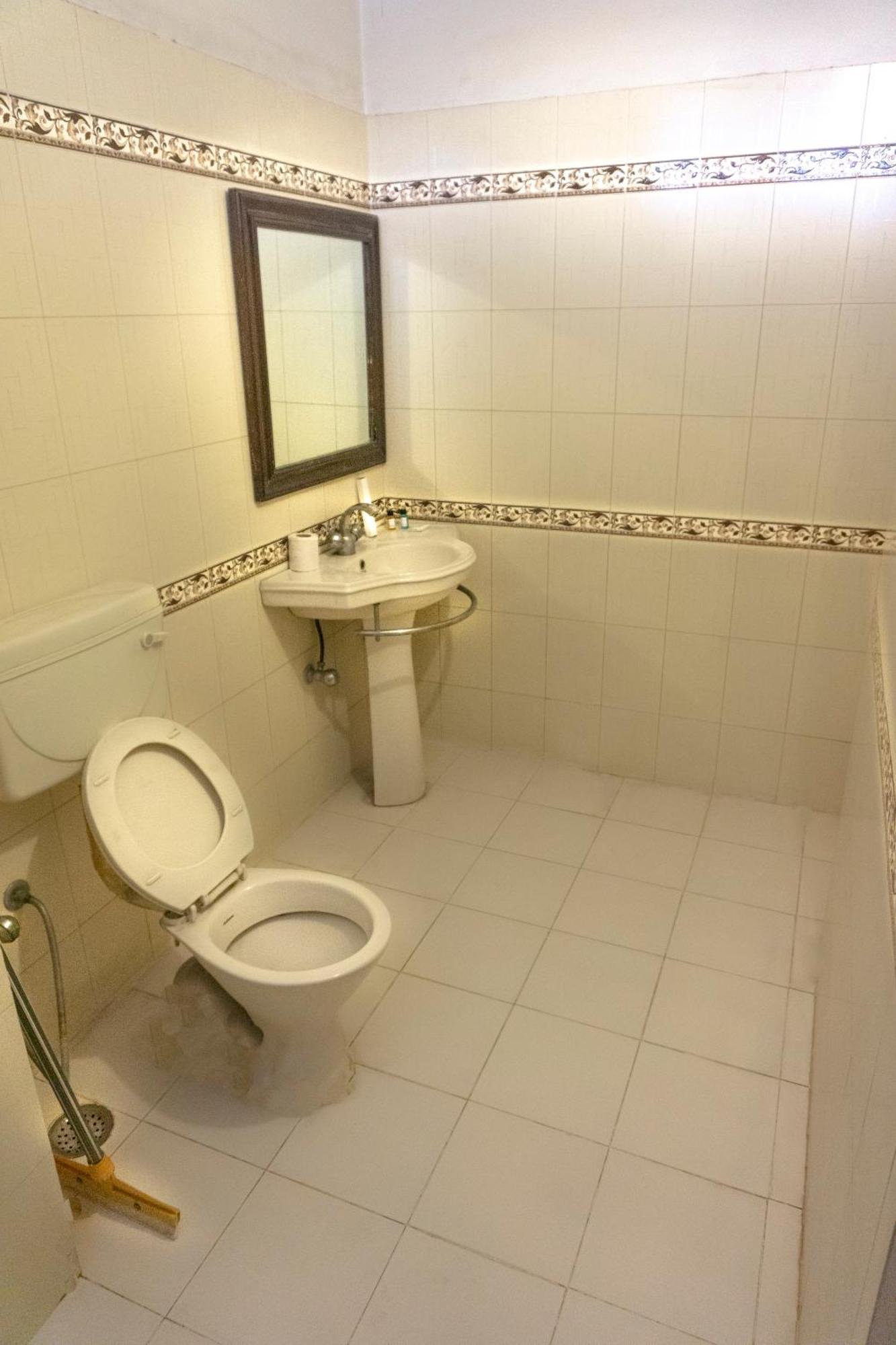 Krishna Palace - A Heritage 3*